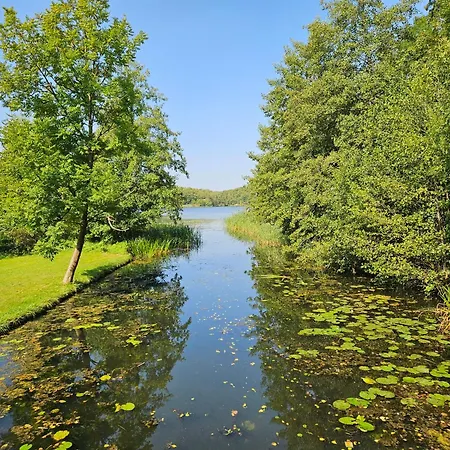 Villa Lychenseevilla Mit Seeblick, Wintergarten, Kamin Und Sauna Lychen