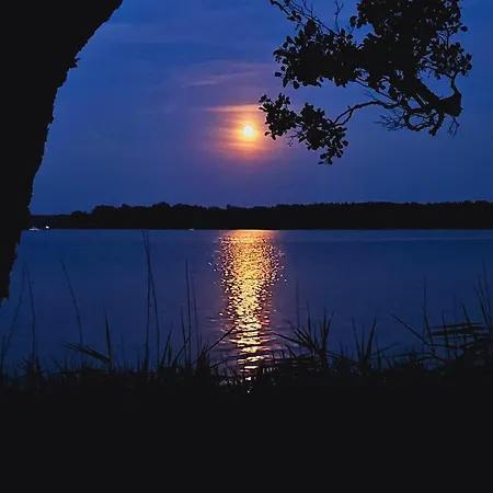 Villa Lychenseevilla Mit Seeblick, Wintergarten, Kamin Und Sauna *