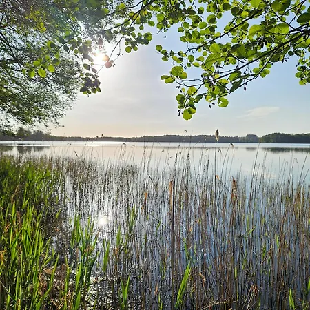Lychenseevilla Mit Seeblick, Wintergarten, Kamin Und Sauna * Lychen