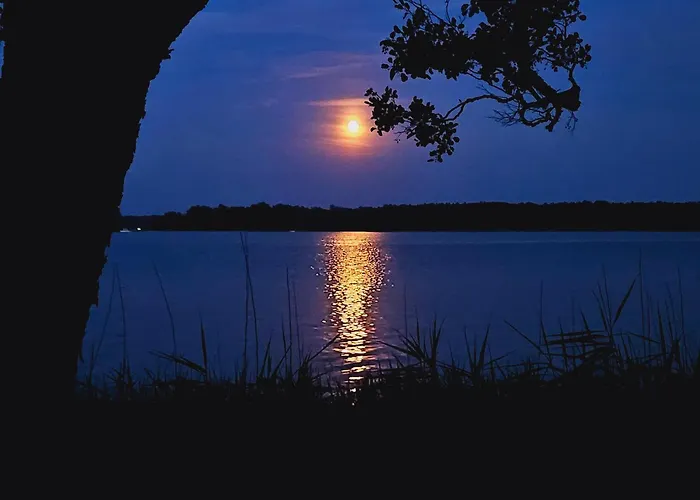 ヴィラ Lychenseevilla Mit Seeblick, Wintergarten, Kamin Und Sauna *