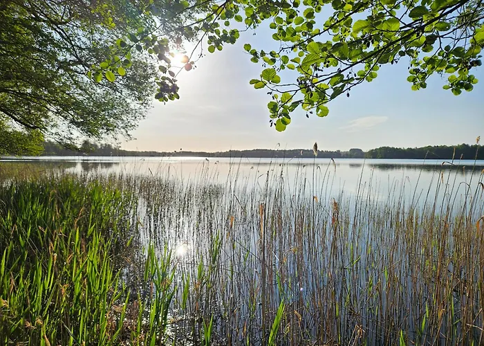 Lychenseevilla Mit Seeblick, Wintergarten, Kamin Und Sauna * リヘン